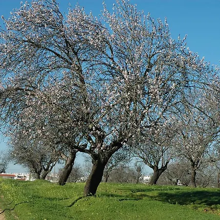 Luxury 3 Bedroom With Private Pool *