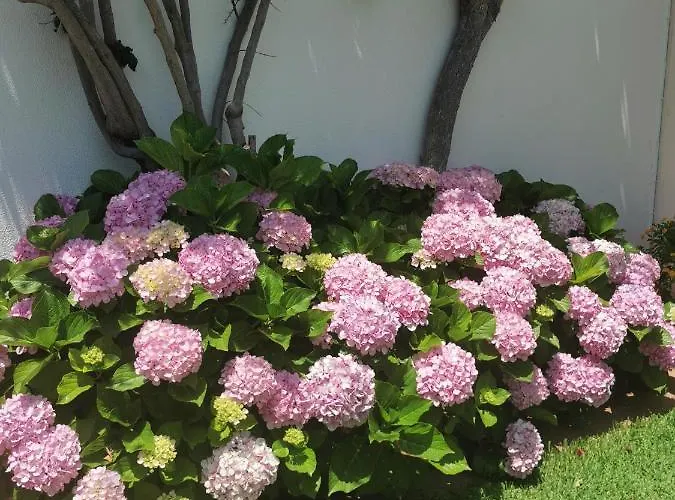 Villa Luxury 3 Bedroom With Private Pool Cabanas De Tavira