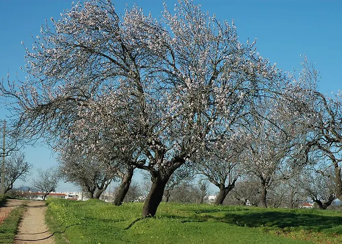 Luxury 3 Bedroom With Private Pool *