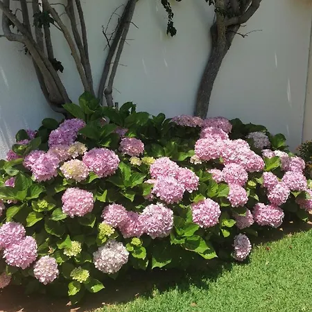 Villa Luxury 3 Bedroom With Private Pool Cabanas de Tavira